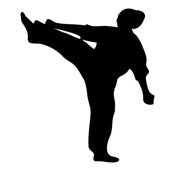 武术--妇女空手道踢 — 图库矢量图片