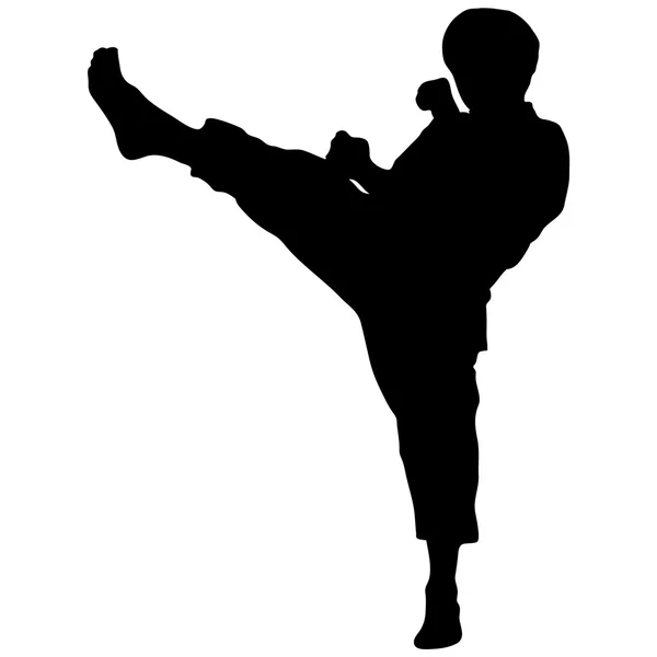 Dövüş sanatları - karate — Stok Vektör