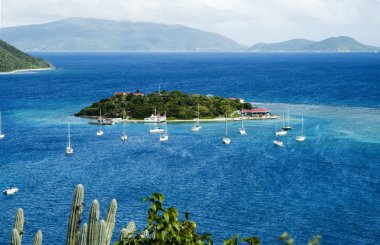 Marina Cay/British Virgin Islands clipart