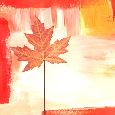 Maple collage clipart