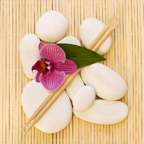 Orquídea y guijarro blanco — Foto de Stock