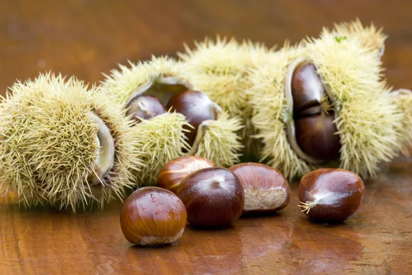 stock image Chestnut still life