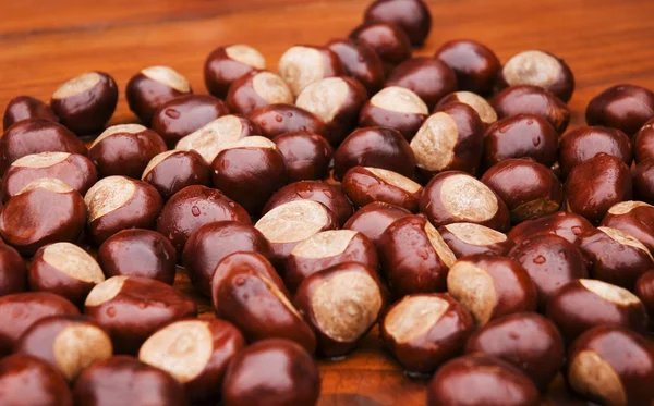 Chestnuts in autmn — Stock Photo, Image
