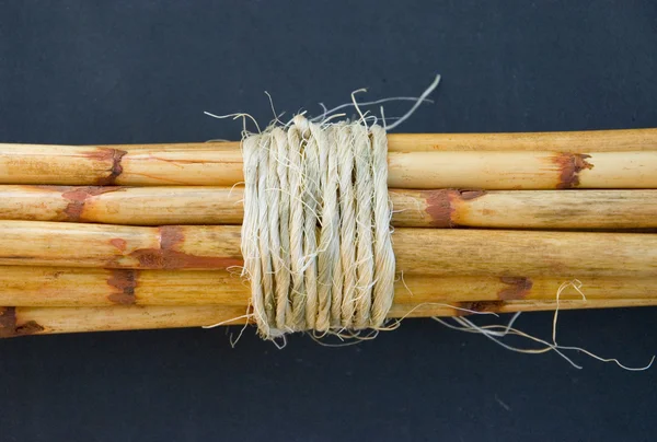Bamboo sticks — Stock Photo, Image
