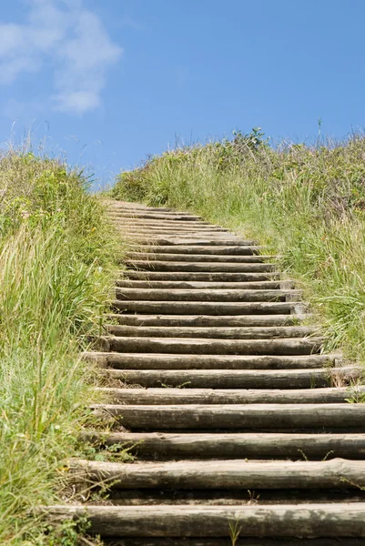 stock image Stairway to heaven