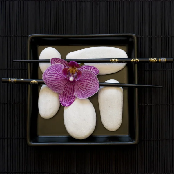 Orchid and white pebble — Stock Photo, Image