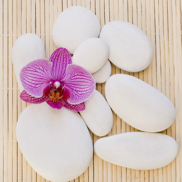 Stilleben asiatisk stil蘭および白い小石 — ストック写真