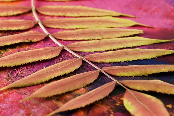 アートワークの背景に乾燥した葉 — ストック写真