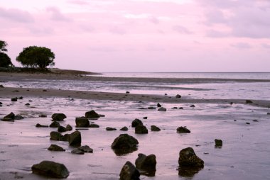 Beach near Brisbane/Australia clipart