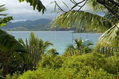 British Virgin Islands clipart