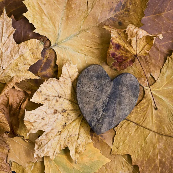 Осенняя любовь — стоковое фото