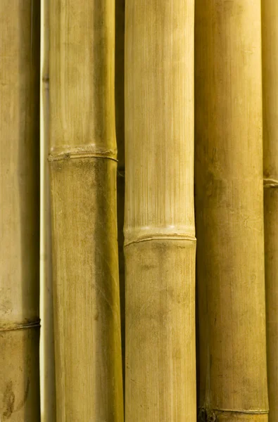 Palos de bambú —  Fotos de Stock
