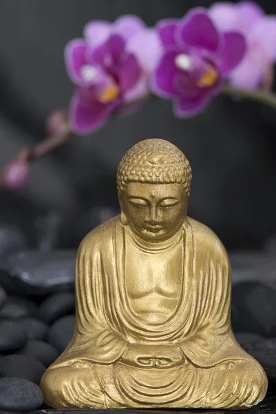 Buddha, orchidea — Stock Fotó