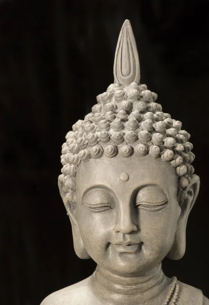 부처님 머리 — 스톡 사진