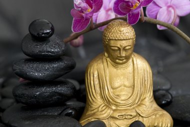 Buddha ile orkide