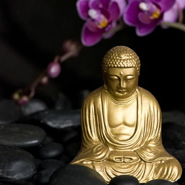Buddha with Orchid — Stock Photo, Image