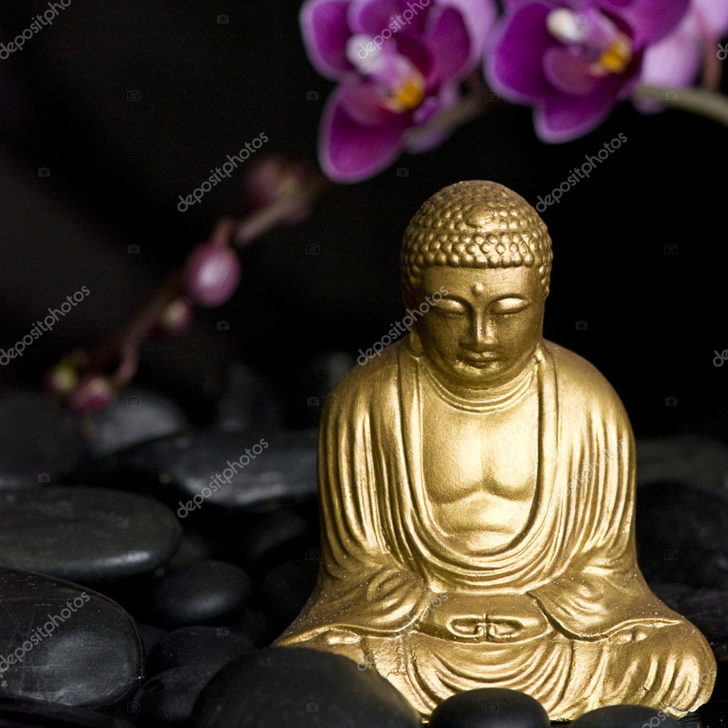 Buddha with Orchid — Stock Photo © Anegada #1758091