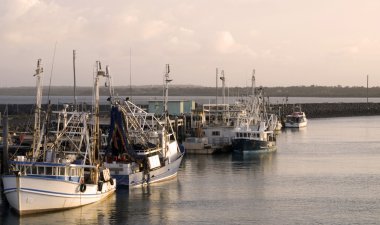 Fishing boats in Hervey Bay/Australia clipart