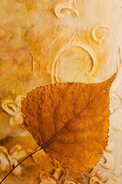 Wciśnięty liść — Zdjęcie stockowe