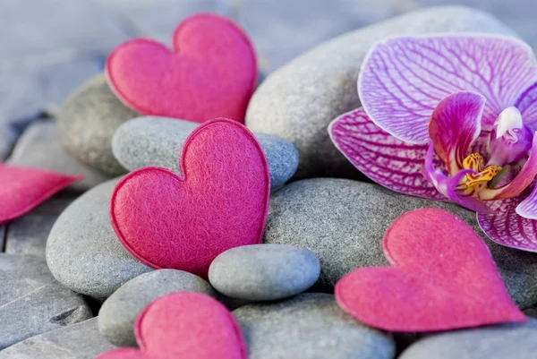 Pink heart and orchid — Stock Photo, Image