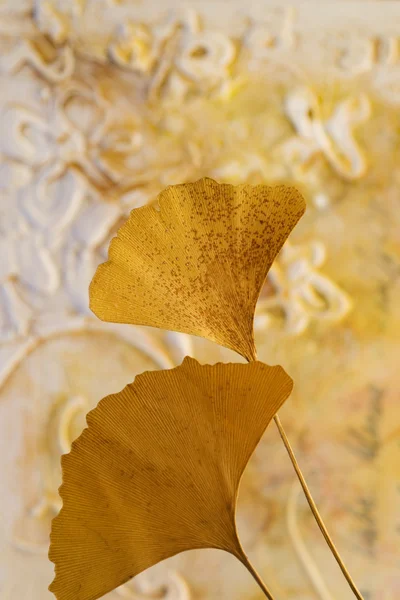 Pressed leaf — Stock Photo, Image