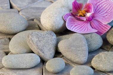 Stone heart and orchid clipart