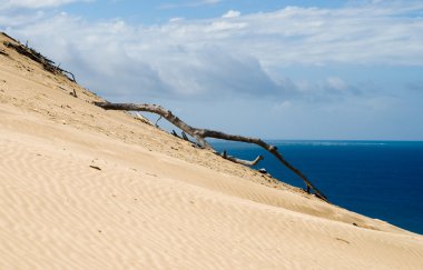 Dune gökkuşağı Beach