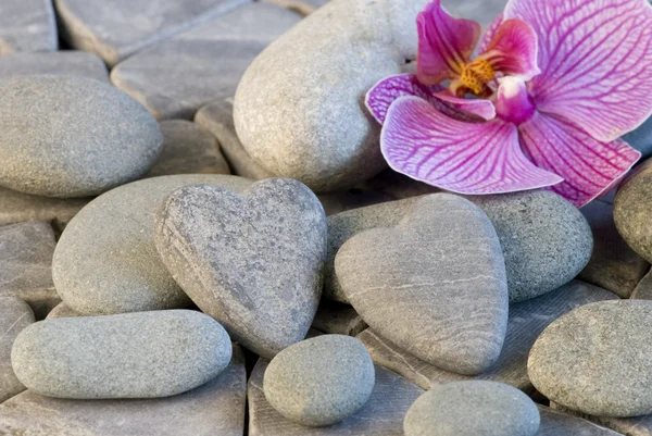 Stone heart and orchid — Stock Photo, Image