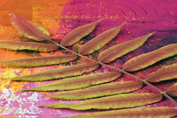 Ξηρά φύλλα σε φόντο έργο τέχνης — Φωτογραφία Αρχείου
