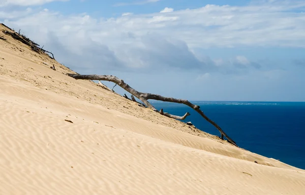 Dune gökkuşağı Beach — Stok fotoğraf