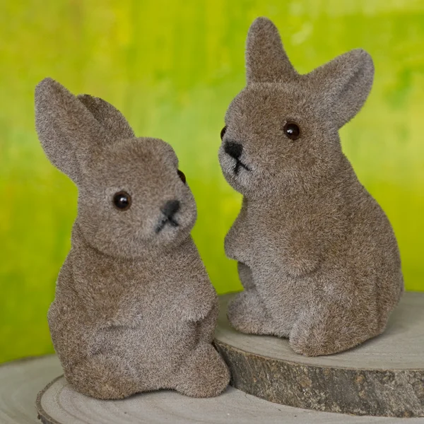 Easter Bunnys — Stock Photo, Image