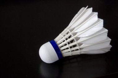 Badminton Bird clipart