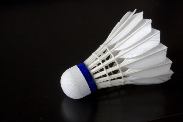 Pássaro de Badminton — Fotografia de Stock