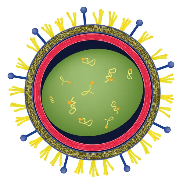 Virus — Image vectorielle