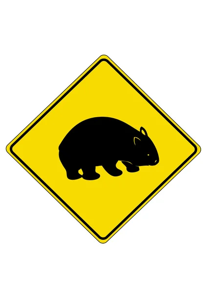 Wombat — Stockový vektor