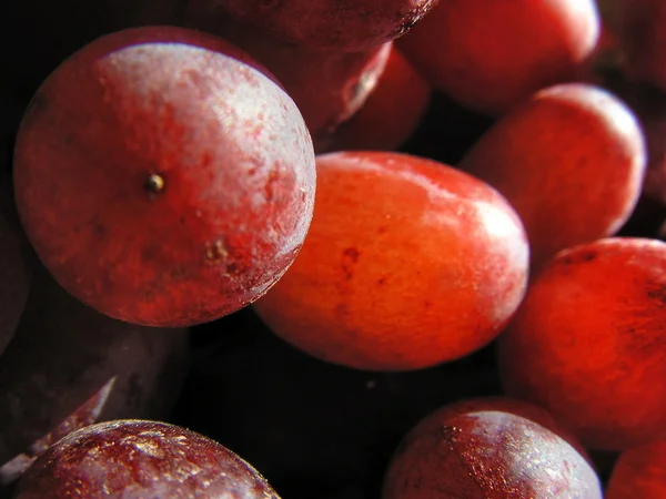 stock image Grapes