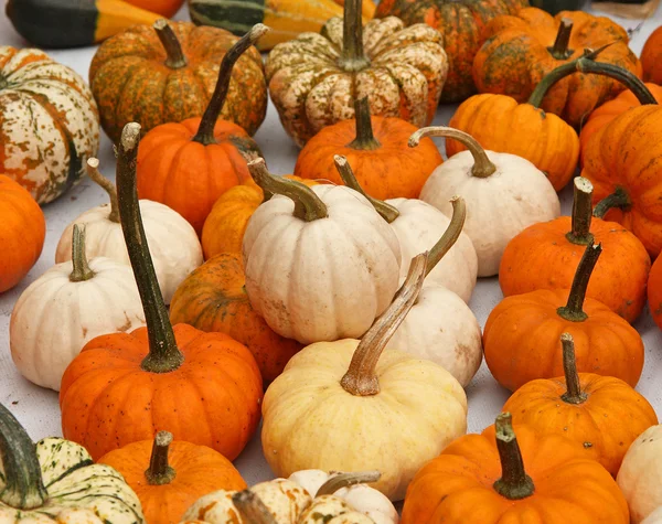 Pumpkins on bavarian market — Stock Photo, Image
