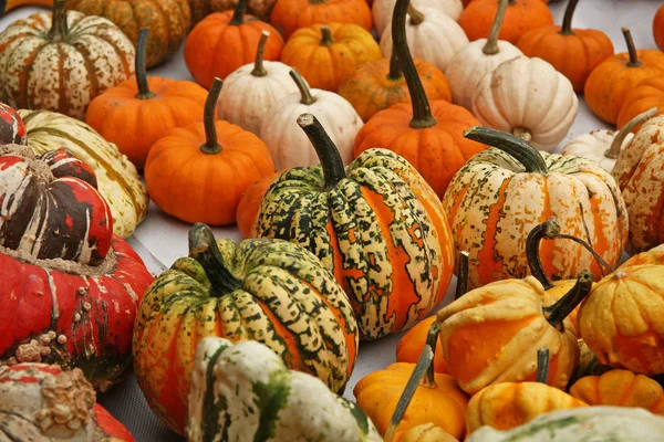 Pumpkins on bavarian market — Stock Photo, Image