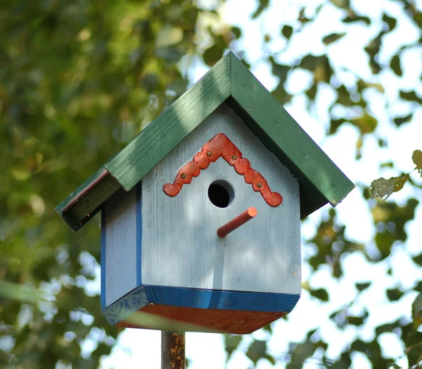 Renkli nest kutu — Stok fotoğraf