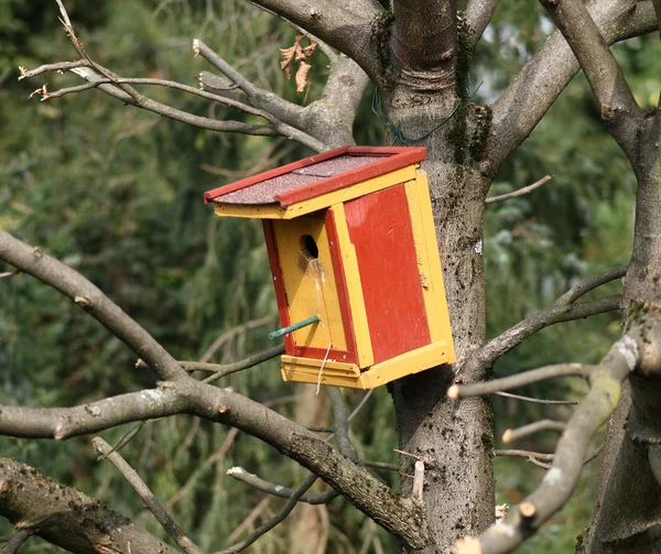 Caixa de nidificação colorida, pendurada em castanha — Fotografia de Stock