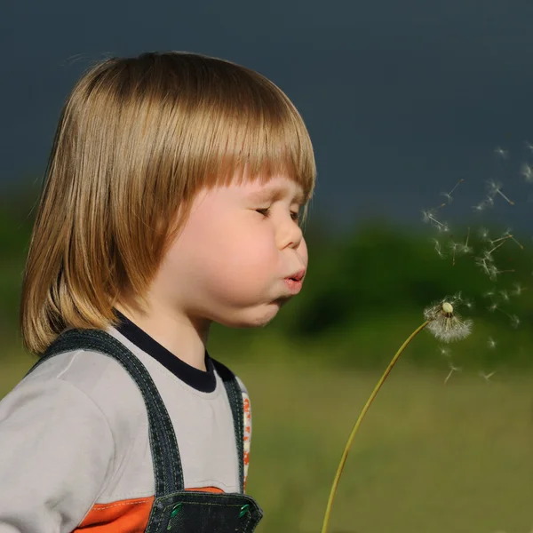 The boy and a dandelion — Stock Photo, Image