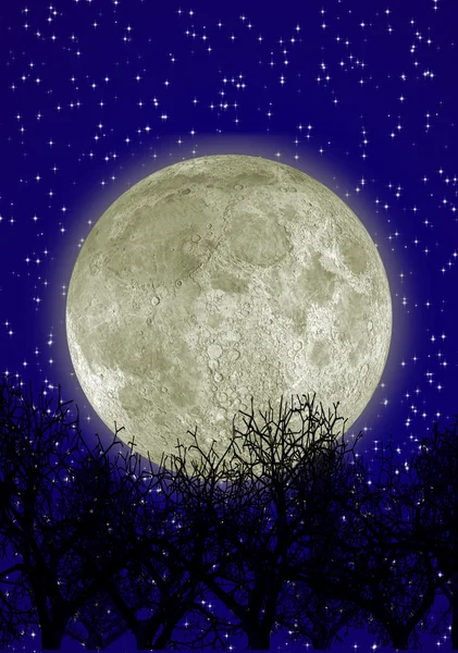月亮和森林 — 图库照片