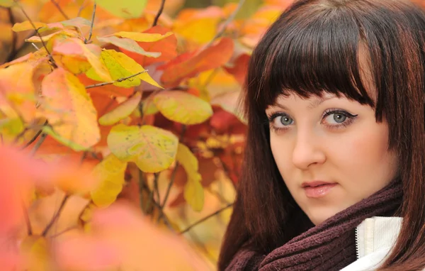 La fille dans une forêt d'automne — Photo