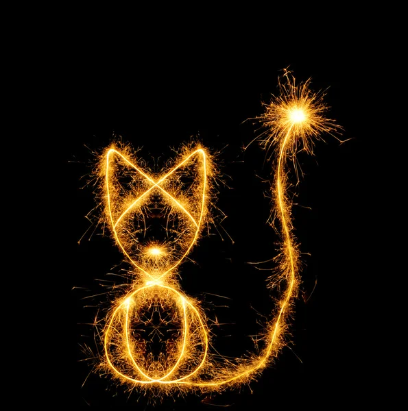 El gato de los fuegos de bengala — Foto de Stock
