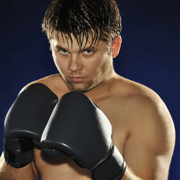 The boxer — Stock Photo, Image