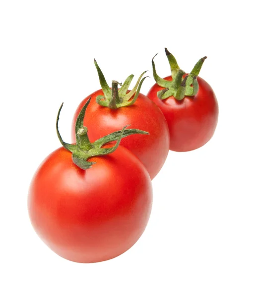 Tomates en rangée — Photo
