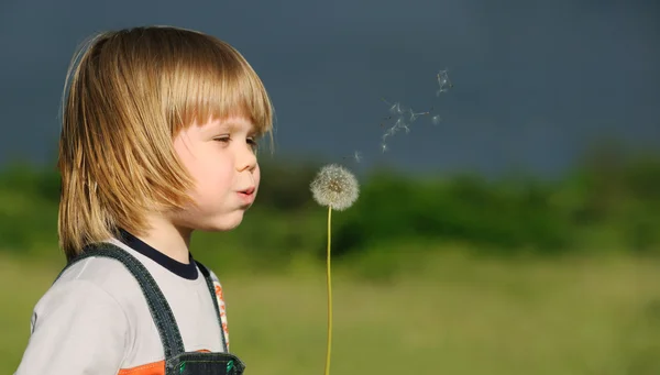 The boy and a dandelion — Stock Photo, Image