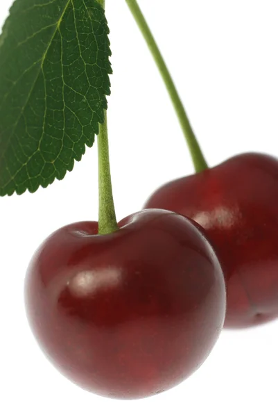 Cherry close-up — Stockfoto