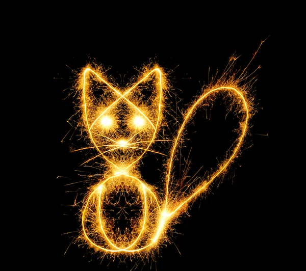 ベンガルの火からの猫 — ストック写真