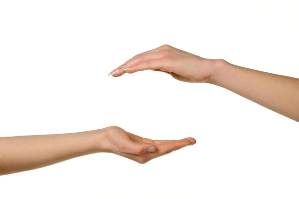 Δύο διαφορετικά χέρια θηλυκό — Φωτογραφία Αρχείου
